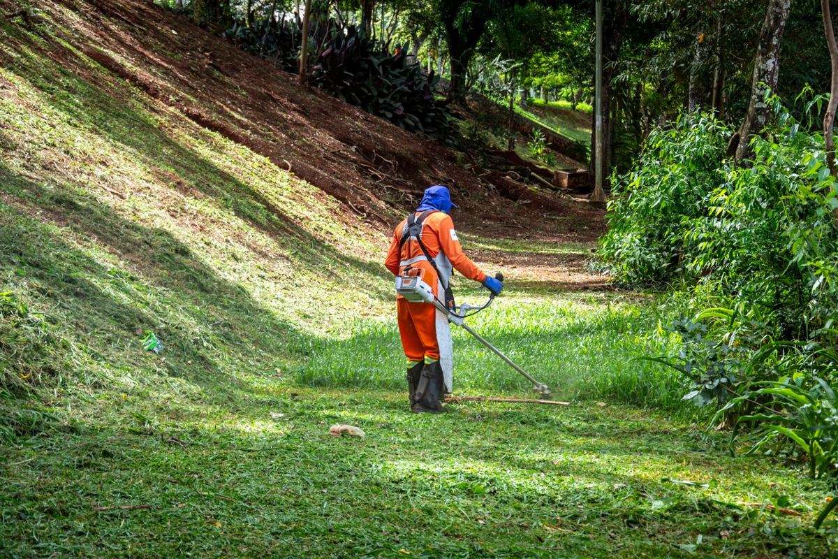 Lawn care worker trimming grass on a sloped lawn